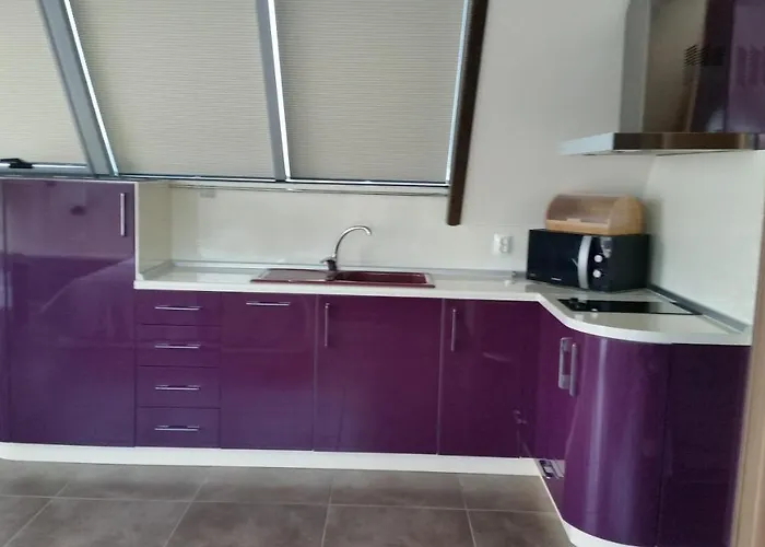 公寓 Milenium 帕莫瑞